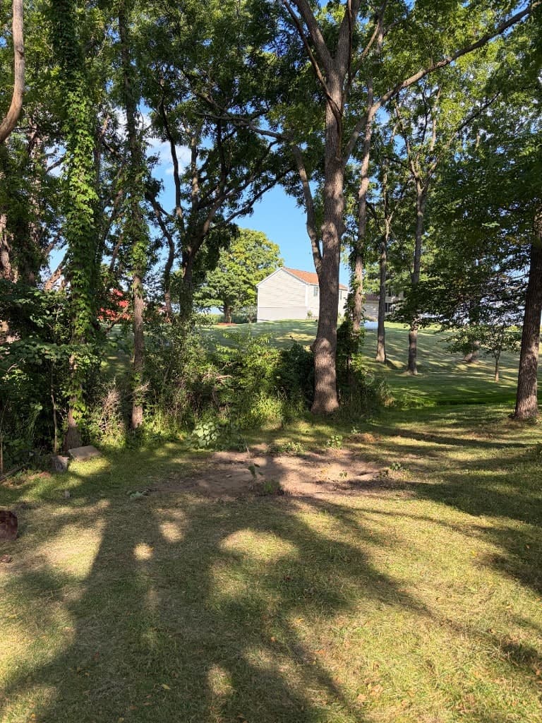Cleared yard after the outbuilding was demolished and hauled away
