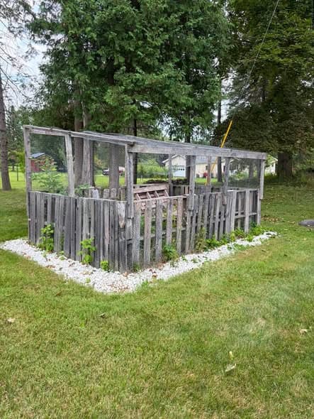 Old pallet and wire enclosure in a yard before removal